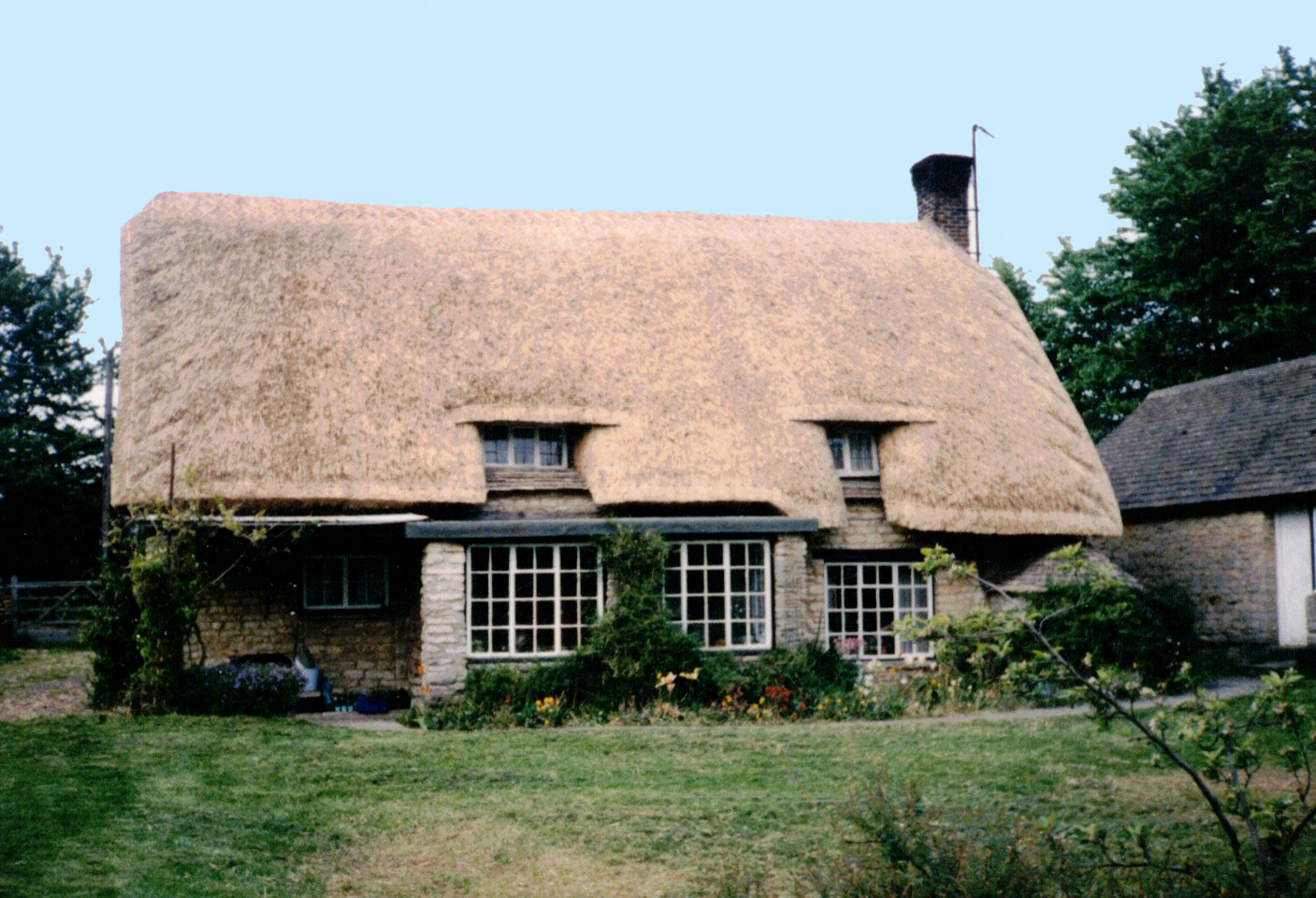 Long Straw