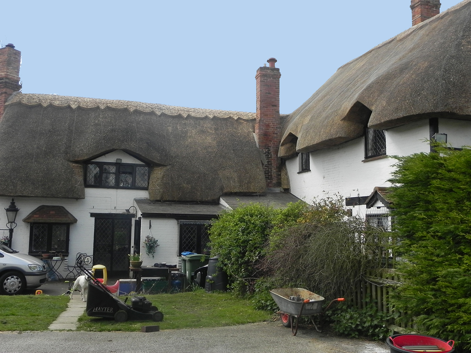 Thatch