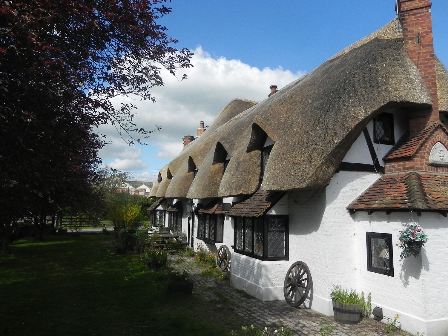 Thatch