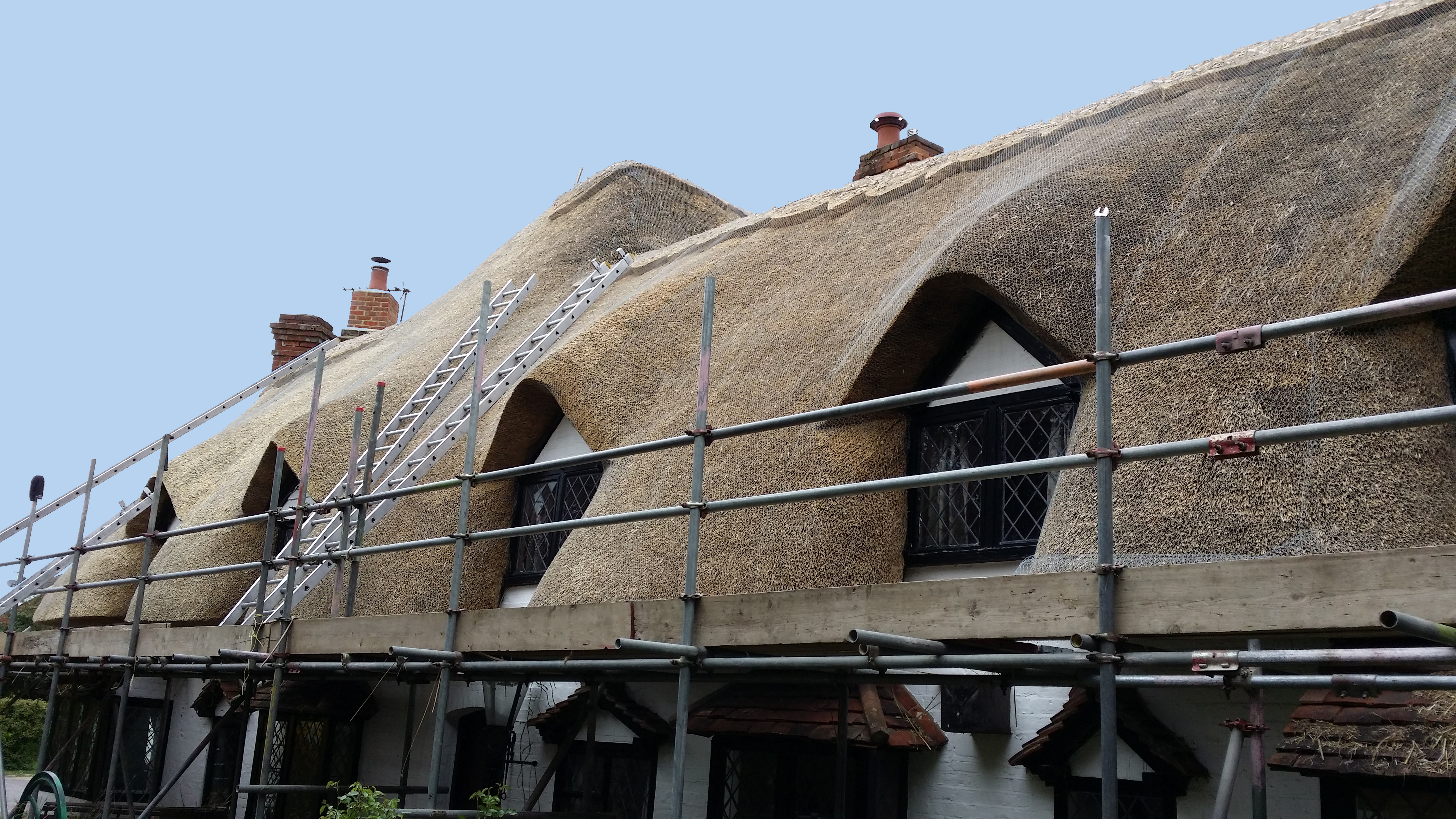 Thatch